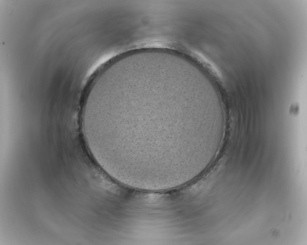 X0000090491166200708102212