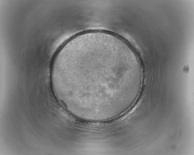 X0000090491167200708102212