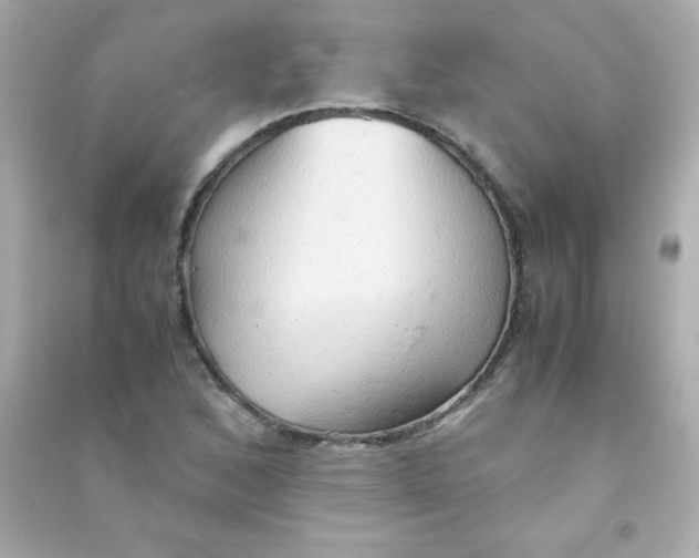 X0000090491168200708102212