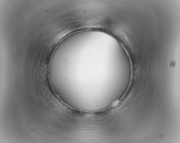 X0000090491169200708102212