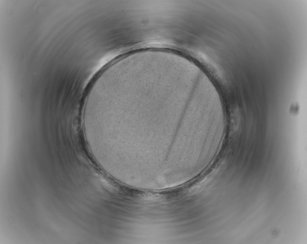 X0000090491170200708102212