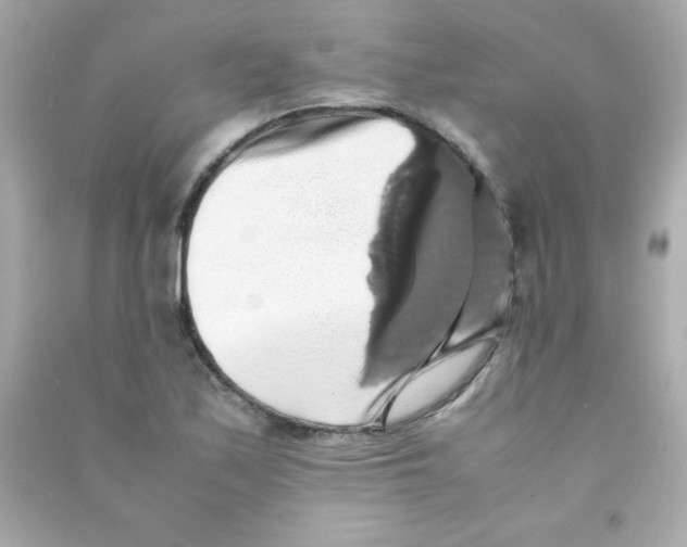 X0000090491171200708102212