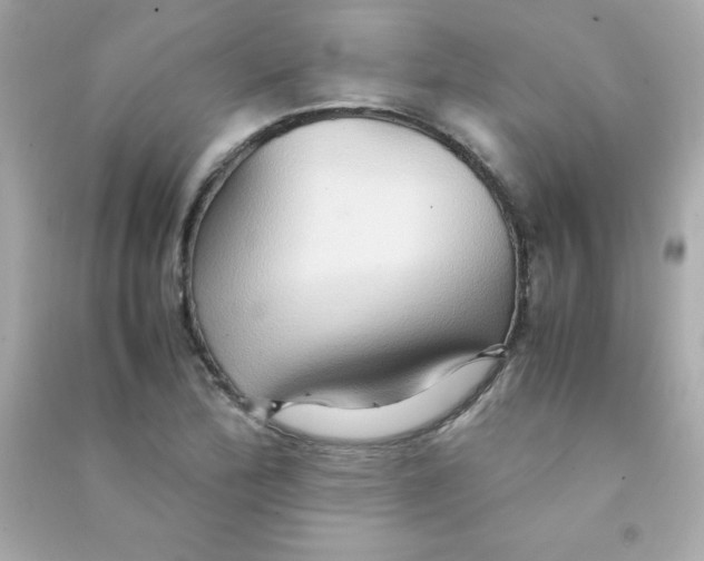 X0000090491172200708102212