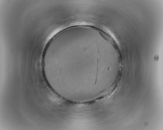 X0000090491173200708102212