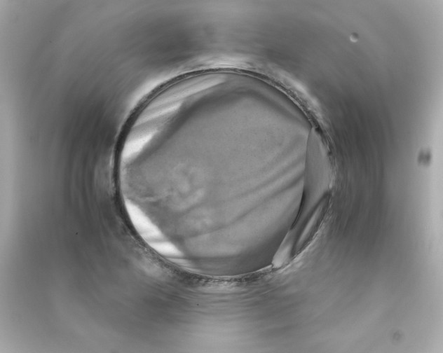 X0000090491174200708102212