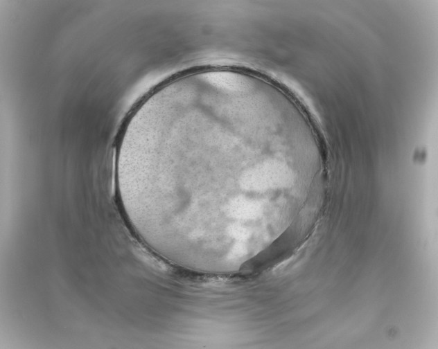 X0000090491175200708102212