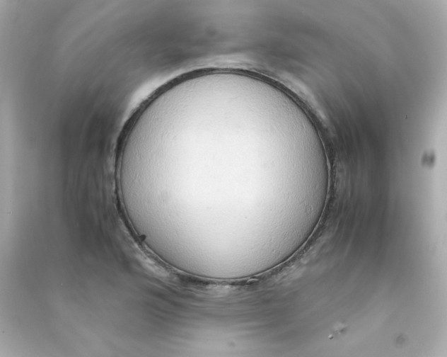 X0000090491176200708102212