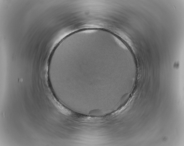 X0000090491179200708102212