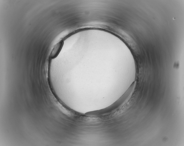 X0000090491180200708102212