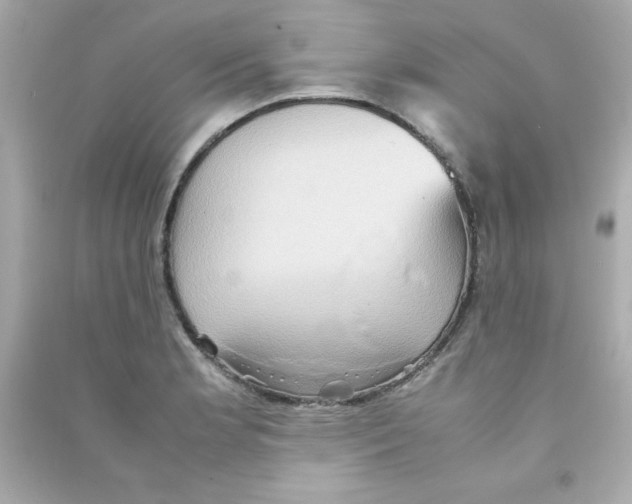 X0000090491181200708102212