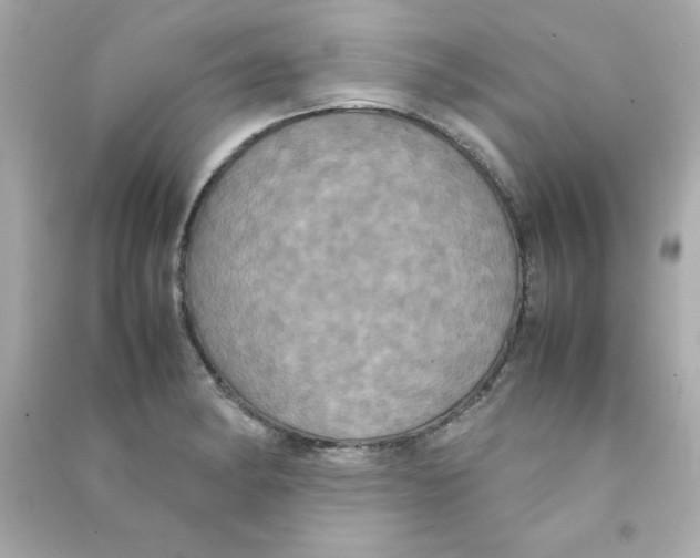 X0000090491182200708102212