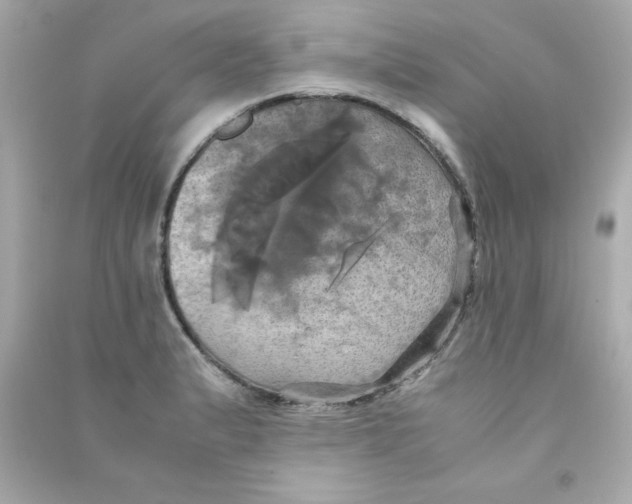 X0000090491183200708102212