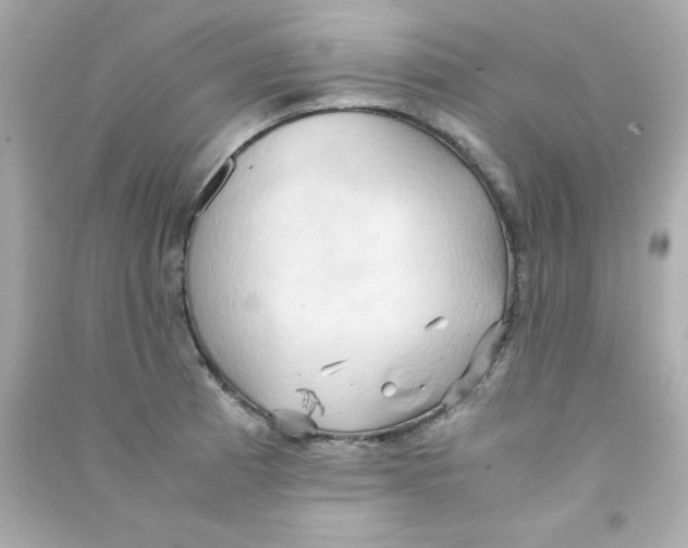 X0000090491185200708102212