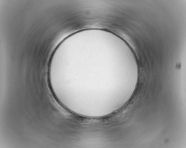 X0000090491187200708102212