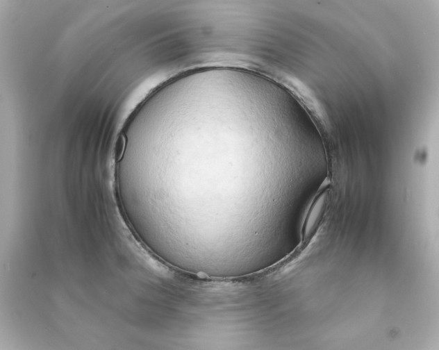 X0000090491188200708102212