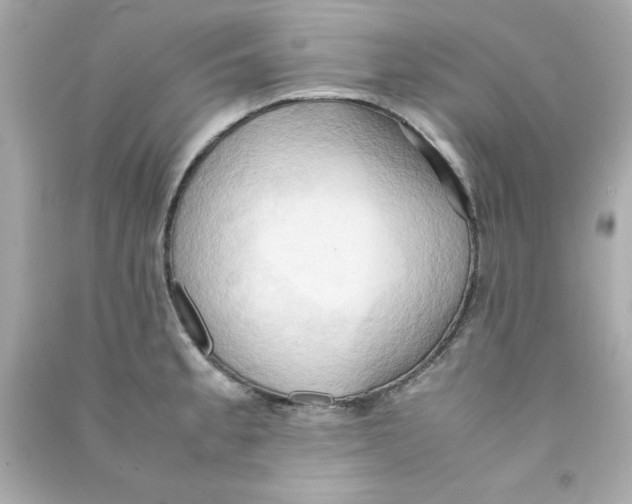 X0000090491189200708102212