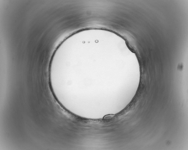 X0000090491191200708102212