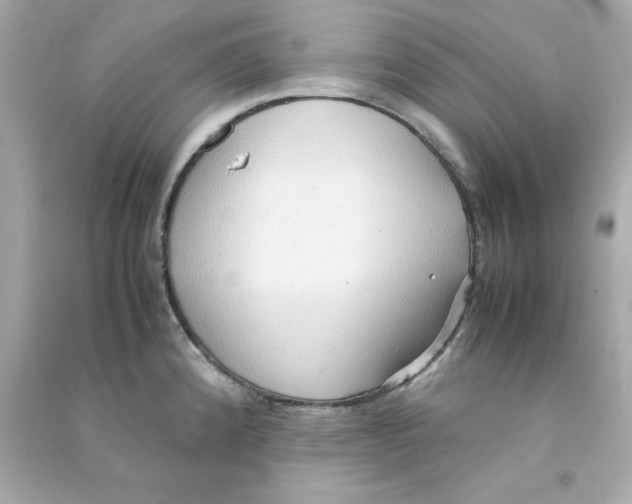 X0000090491192200708102212