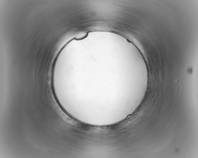 X0000090491195200708102212