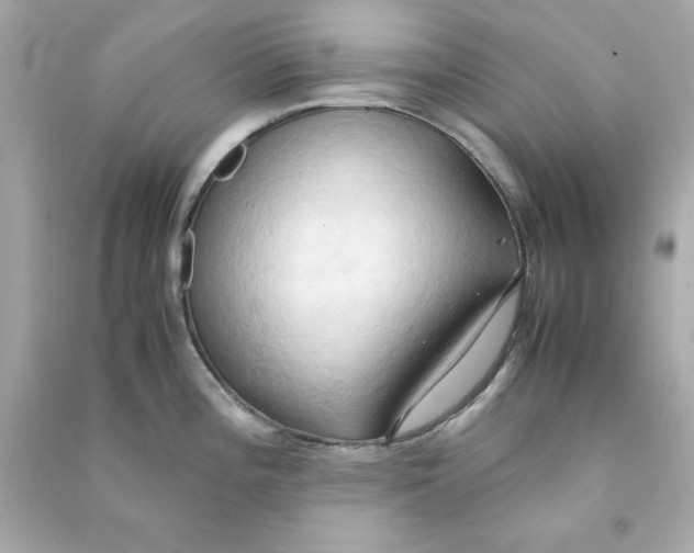 X0000090491196200708102212