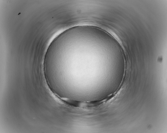 X0000090491197200708102212