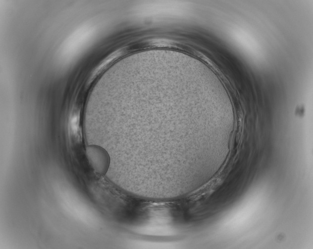 X0000090491198200708102212