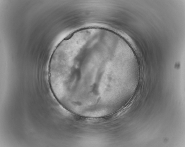 X0000090491199200708102212