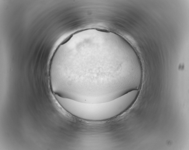 X0000090491200200708102212