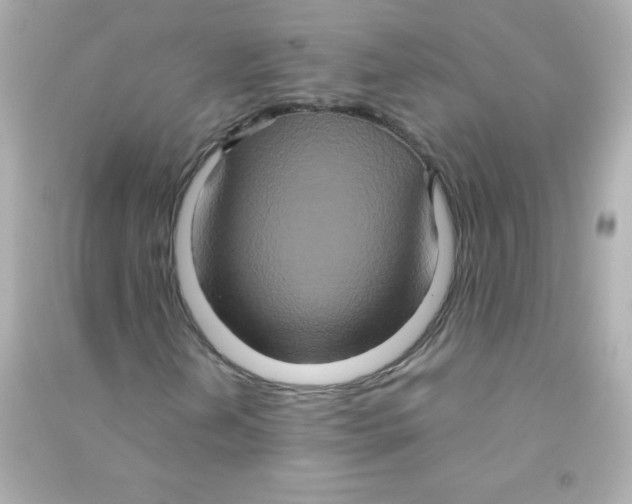 X0000090491202200708102211