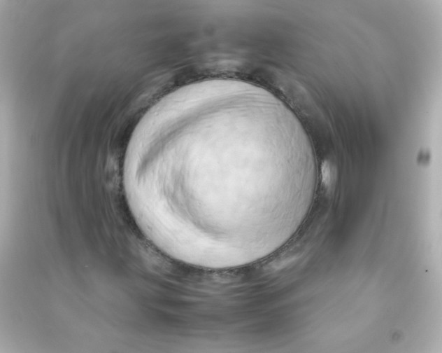 X0000090491203200708102211