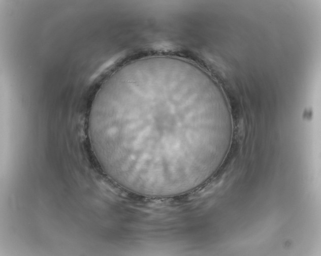 X0000090491205200708102211