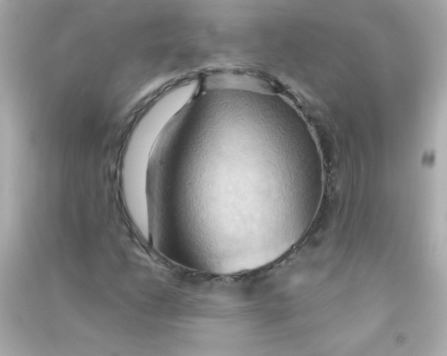 X0000090491206200708102211