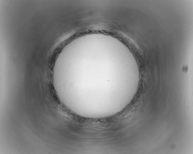 X0000090491207200708102211