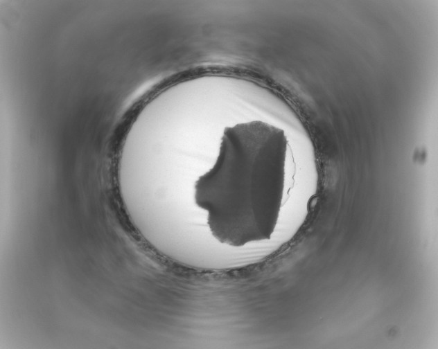 X0000090491208200708102211