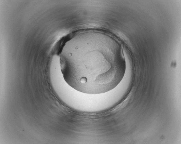 X0000090491210200708102211