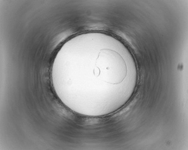 X0000090491211200708102211