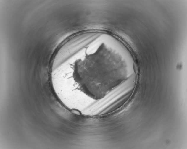 X0000090491212200708102211