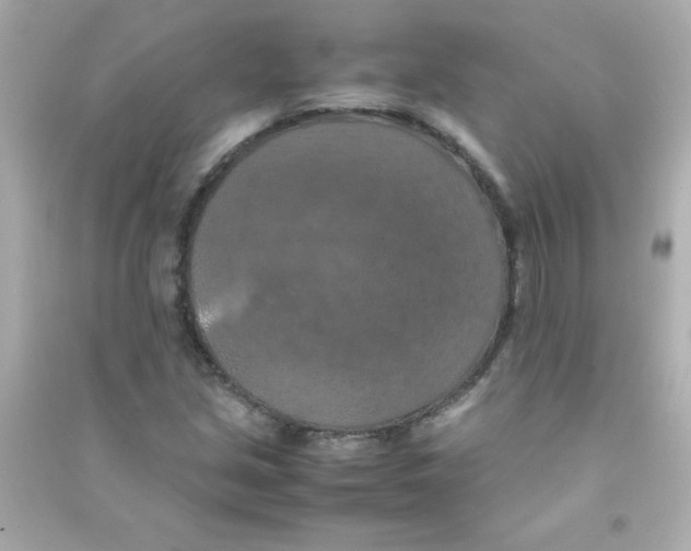 X0000090491213200708102211