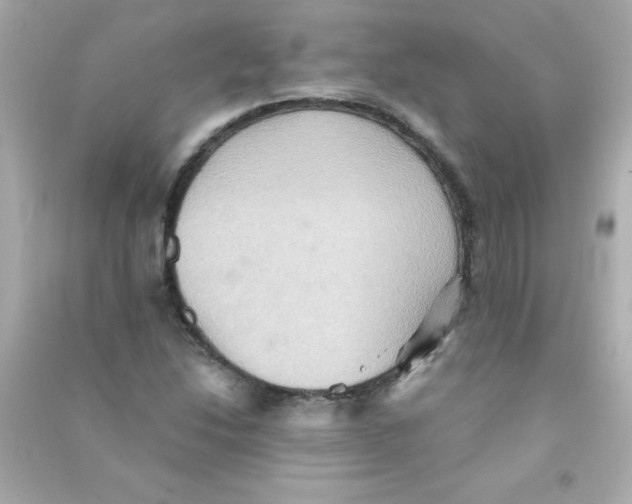 X0000090491214200708102211