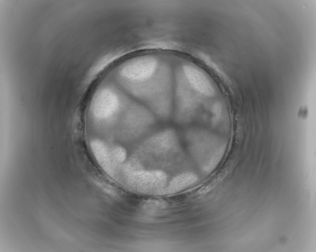 X0000090491215200708102211