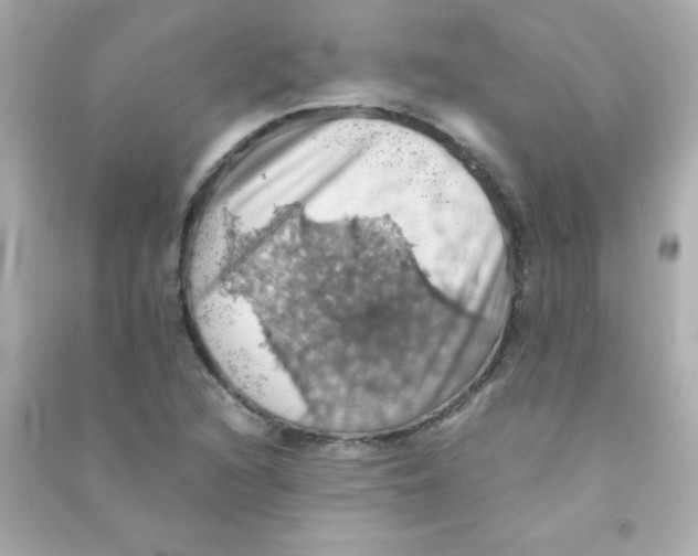 X0000090491216200708102211