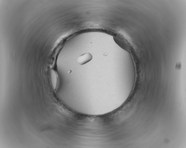 X0000090491218200708102211