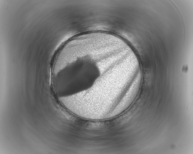 X0000090491219200708102211