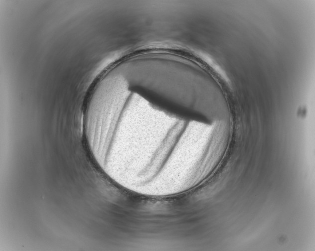 X0000090491221200708102211