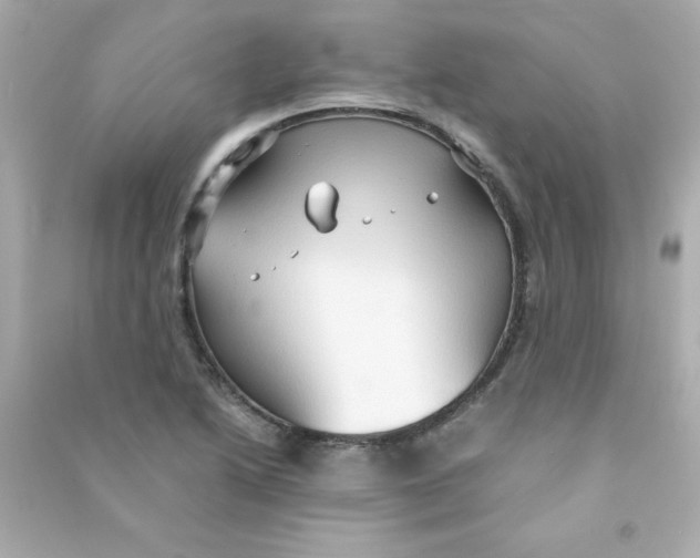 X0000090491222200708102211