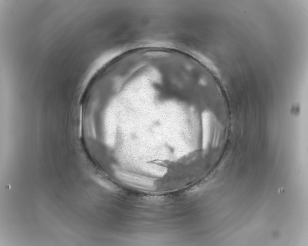 X0000090491223200708102211