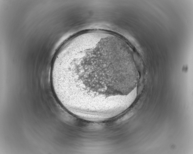 X0000090491224200708102211