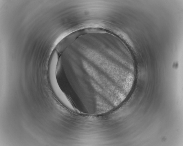 X0000090491226200708102211