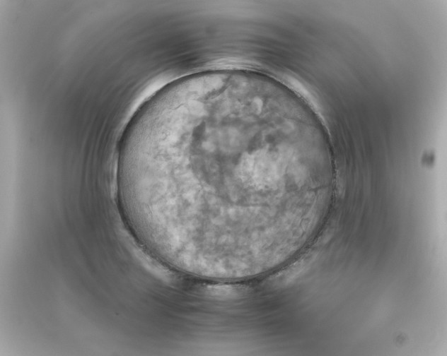 X0000090491227200708102211