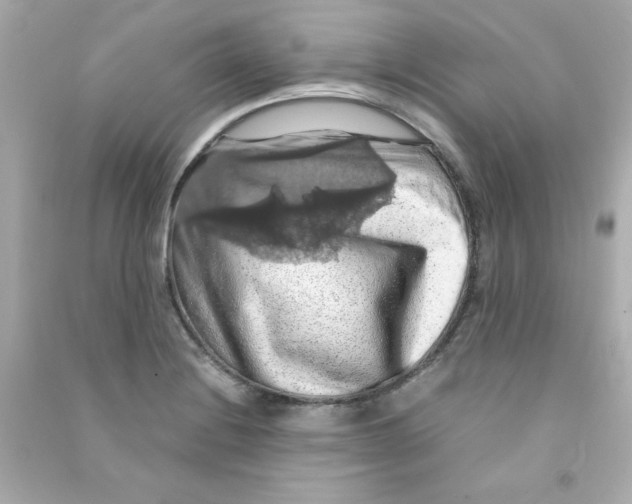 X0000090491228200708102211